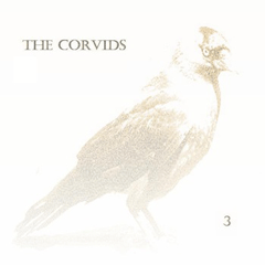 The Corvids